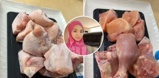 Ayam Beku CEPAT Cair Guna DEFROST TRAY, Tak Perlu Rendam Air