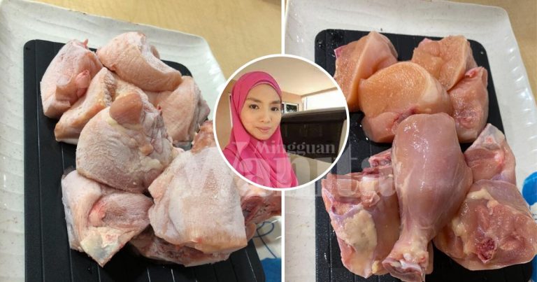 Ayam Beku CEPAT Cair Guna DEFROST TRAY, Tak Perlu Rendam Air