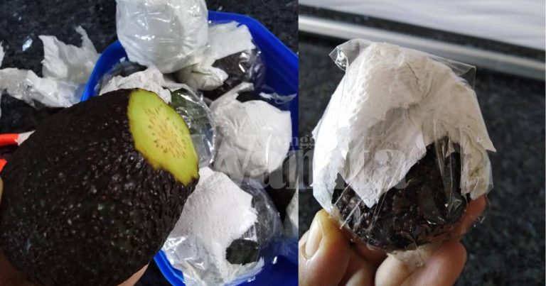 PERAM Buah Avocado Hiris Nipis Bahagian Tangkai, Balut Tisu & Salotep Kemas