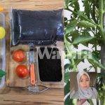 Untitled design (60)