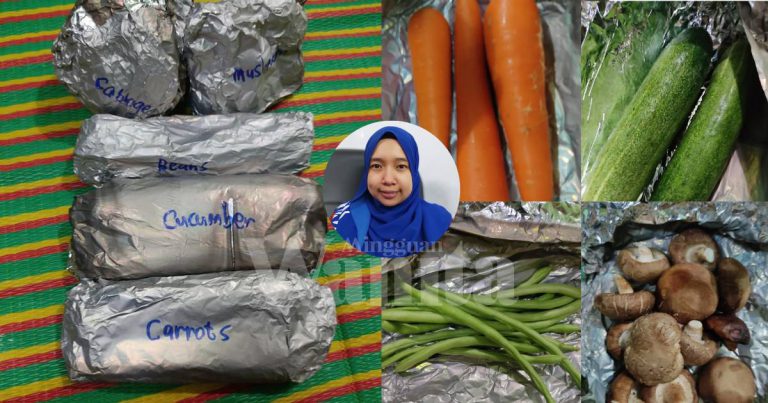 Guna Aluminium Foil, Cara Simpan Sayur Paling BERKESAN Tahan Lebih Seminggu!