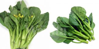 Walau Sedikit Pahit Dimakan, Sayur Kailan Tetap Penuh Khasiat