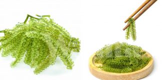 Ada Apa Dalam Latok @ Anggur Laut?