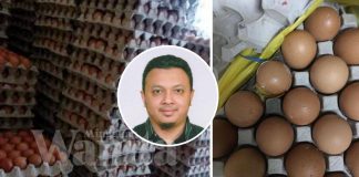 Hilang Kerja, Isteri Mengandung, Sepapan Telur Itulah Lauk Anak-Beranak Sebulan