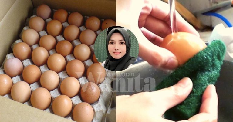 Basuh Atau Tidak Sebelum SIMPAN, Bergantung Cara Penyimpanan TELUR