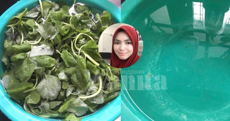 Pensyarah Kimia Jelaskan Ini Cara Sebaiknya Bila CUCI Sayur & Buah!