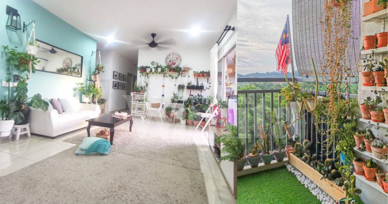 Berkebun Di Apartment, Tip Tanaman Indoor Hidup Lama, Senang Jaga!