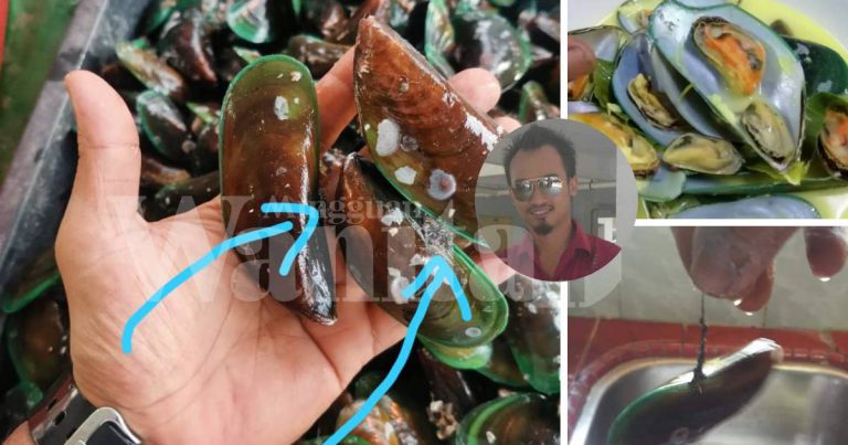 Cara Betul Siang Kupang Hijau Segar, Paling Penting Kena Buang Rambutnya!