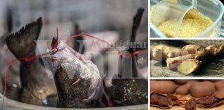 Hilangkan Bau Hanyir & Ikan Sungai Guna Barang Dapur, Ini Caranya!