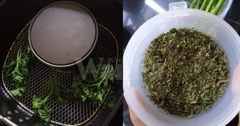 Nak Beli Mahal, Buat Sendiri ‘Parsley Flakes’ Guna Air Fryer, JIMAT!