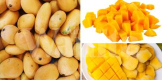 Mangga, Super Hebat, Ada Lebih 20 Vitamin & Mineral Berbeza!