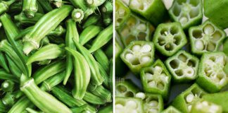 Bendi Penuh Khasiat, Tinggi Serat, Jangan Pandang Sebelah Mata!