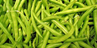 Khasiat & Manfaat Kacang Buncis Yang Perlu Kita Tahu