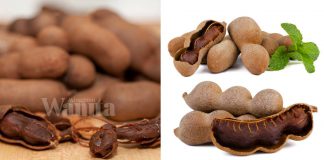 Asam Jawa, Makan Begitu Sahaja Boleh Dapat Khasiatnya