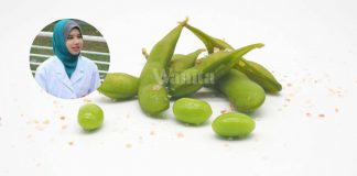 Edamame, ‘Snek’ Sihat & Sedap, Rebus Dahulu Sebelum Makan