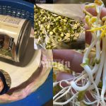 Untitled design (27)