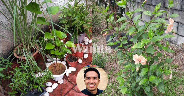 Nak BERCUCUK TANAM Kena Ada Hari-Hari Sesuai, Barulah Hidup Subur