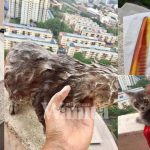 Untitled design (36)