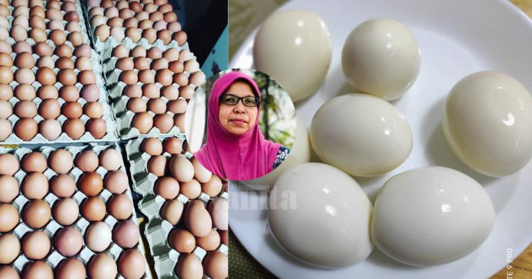 Masak TELUR Kuantiti Banyak Guna Kaedah KUKUS Tak Pecah, Tahan Lebih Seminggu!