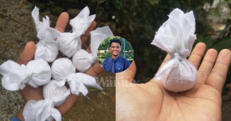 PETUA Halau Monyet, Guna  ‘Tangkal Azimat’ Campuran Belacan & Ubat Gegat!