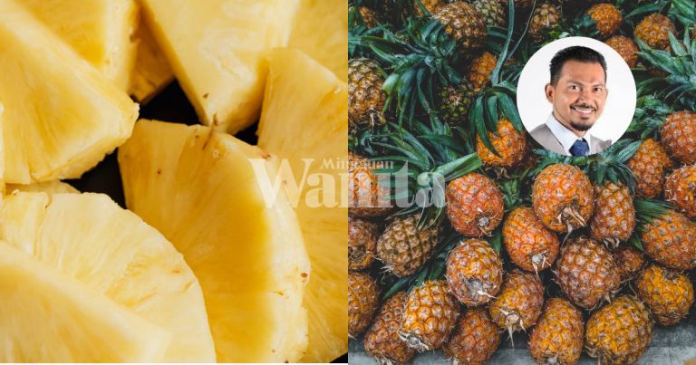 Kalau Nak MOOD BAIK Dan Turunkan BERAT BADAN, Makanlah Nanas Setiap Hari