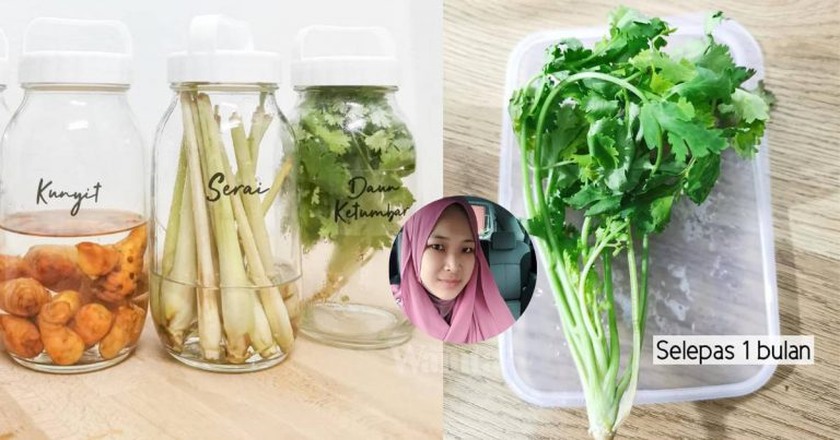 DAUN KETUMBAR Kekal Segar Selepas SEBULAN, Simpan Dalam Bekas Kering Kedap Udara!