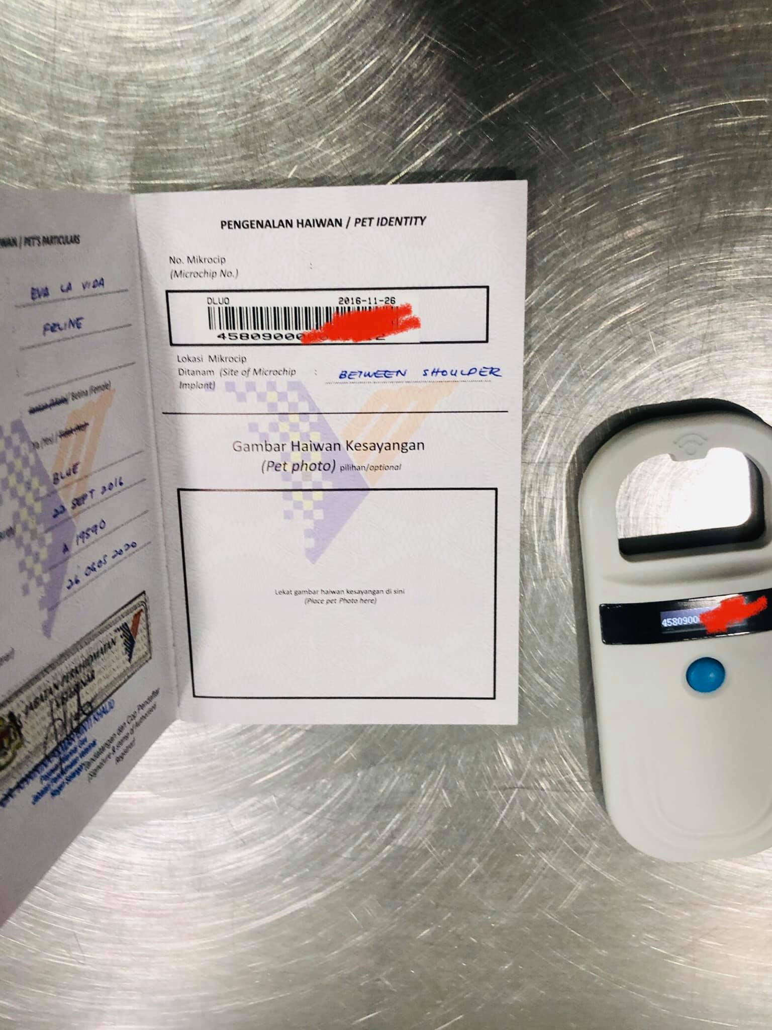 Kad Pengenalan Kucing Kesayangan, Penting Untuk Mengesan Hak Pemilik