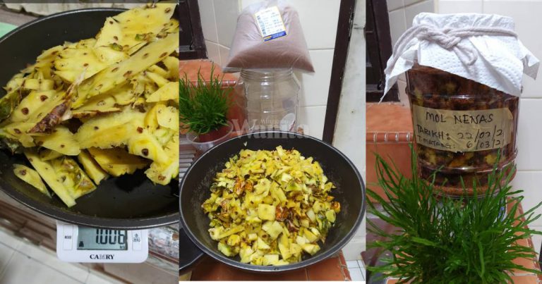 DIY Mol Kulit Nenas, Penggalak Pokok Berbunga Lebat Berbuah Banyak!