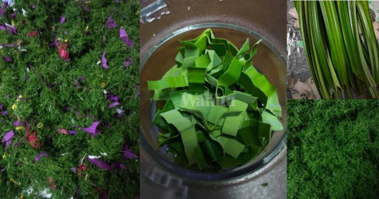 Buat BUNGA RAMPAI Kisar Halus Guna Blender Kering, Lebih Mudah & Cepat!