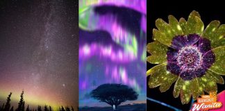 Rupanya Ini Yang Anak Autisme Nampak Dalam ‘Dunia’ MALAM Mereka