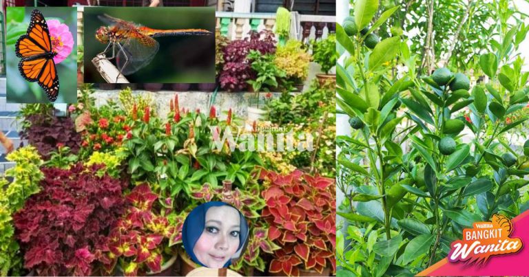 Bila Serangga Ini Jadi ‘TETAMU’ Tanaman, Jangan Hapuskan Sebab Ia Beri Manfaat