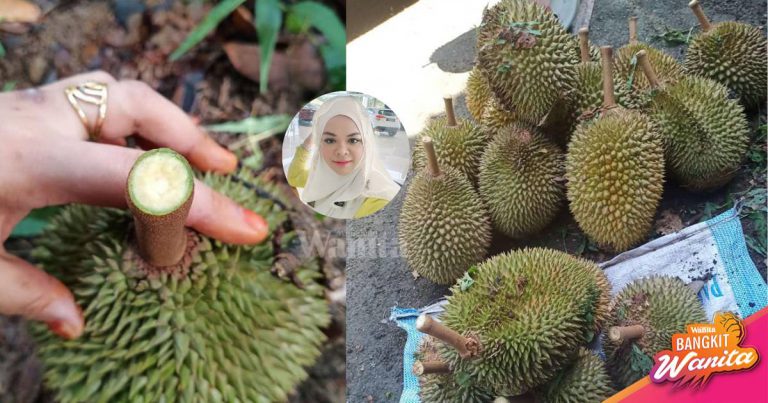 Buah Betul-Betul ‘Fresh’, Beli Durian Pastikan Bahagian Tangkai Masih Lagi Bergetah!