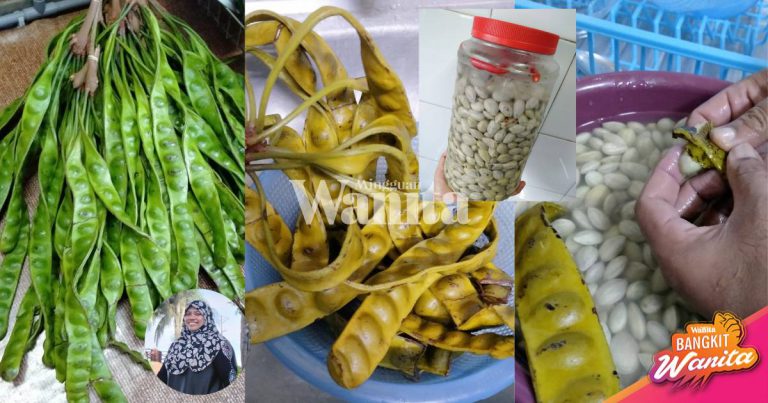 Cara Buat Petai Jeruk, Nak RANGGUP & Sedap, Tapis Semalaman, Guna  Garam Kasar