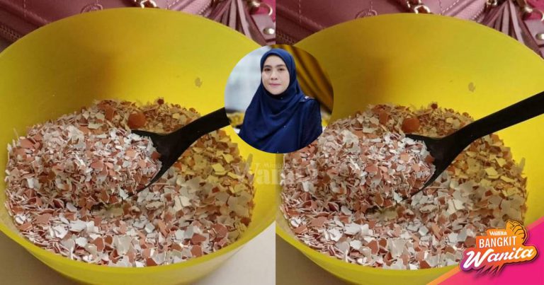 Tabur KULIT TELUR Keliling Pokok Seminggu Sekali, Baja Semulajadi Kuatkan Akar!