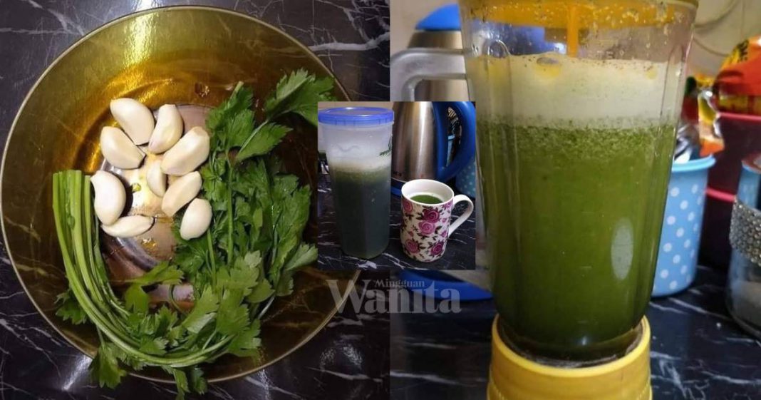 Amalkan Minum Air Daun Sup & Bawang Putih, PETUA Ikhtiar Rawat Darah