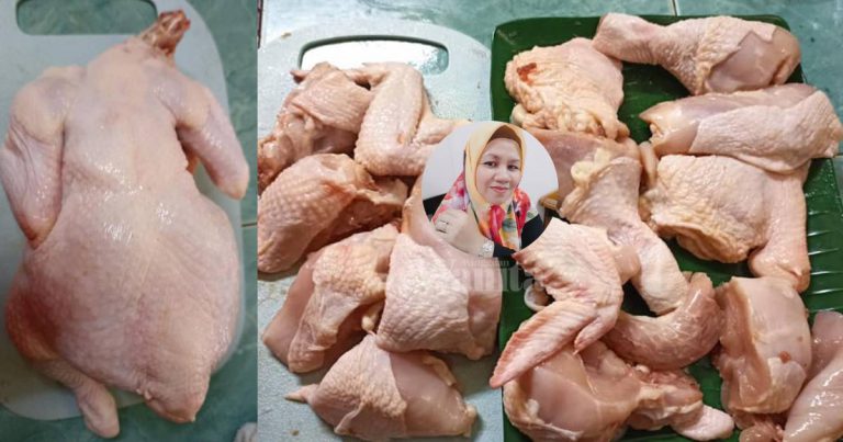 CARA Mudah Belajar Potong Sendiri AYAM Seekor Di Rumah, Barulah Tak Hancur!