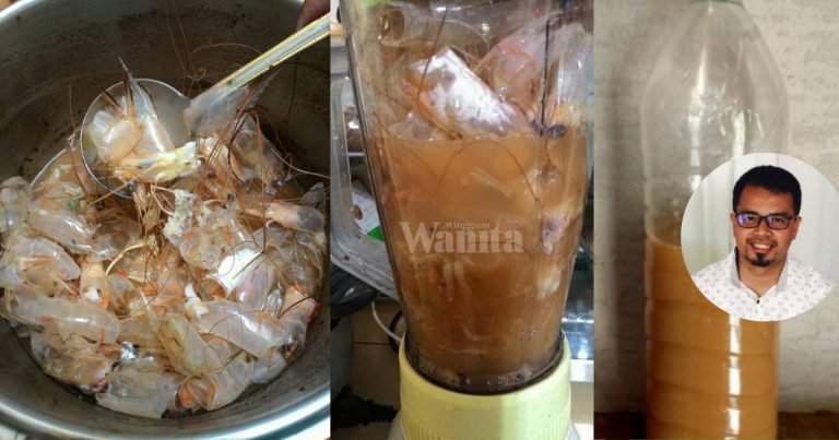 Siang Udang Jangan Buang Kepala & Kulitnya, Boleh Buat Baja “POWER” Untuk Tanaman!