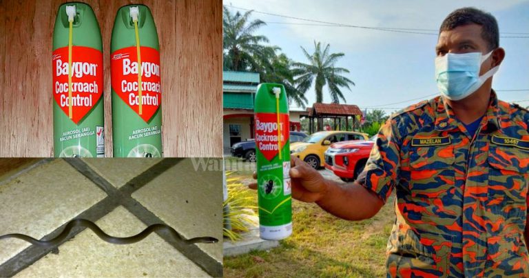 Pegawai Bomba Pesan Simpan Semburan Racun BAYGON Di Rumah, Berkesan Halau Ular!