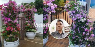 pintu-gerbang-bunga-kertas