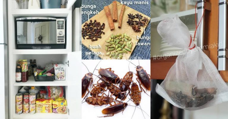 Petua Halau Lipas Dalam Kabinet, Guna Rempah 4 Sekawan Buat Uncang, Sangat Berkesan!