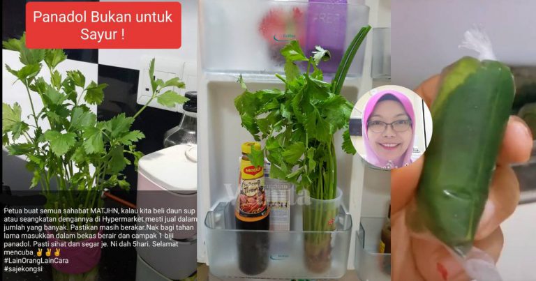 PANADOL Bukan Untuk Tumbuhan, PETUA Beri Kemudaratan JANGAN KONGSI Dengan Orang Lain!