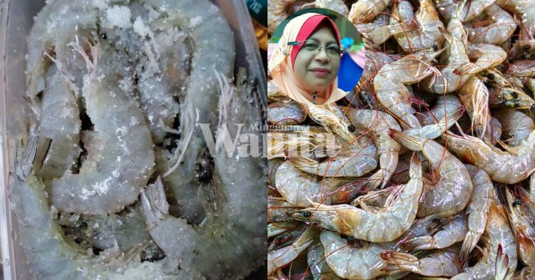 Petua Udang Kekal Segar, Tahan Lama, TABUR GULA Sebelum Simpan Dalam Peti Ais