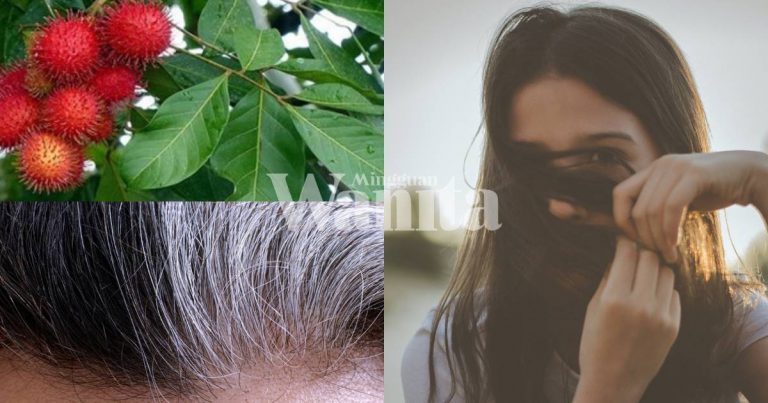 Petua Hilangkan Masalah Rambut Beruban, Guna Daun Rambutan, Banyak Khasiatnya!