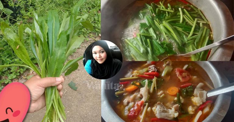 Masak TOMYAM Selalu Rasa Kurang, Letak KETUMBAR JAWA Bertambah Sedap!