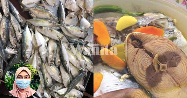 Nak Anak Bijak, Biasakan Bagi Makan Ikan 2 Kali Seminggu Berbanding Ayam Goreng