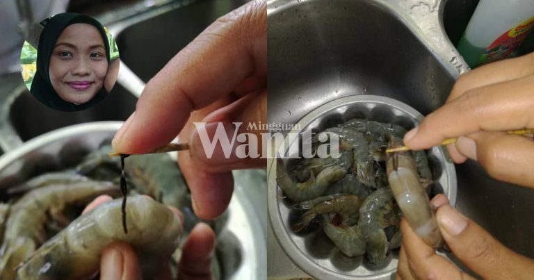 Cara Mudah Buang Urat Hitam Udang, Guna Lidi Satay Barulah Tak Putus