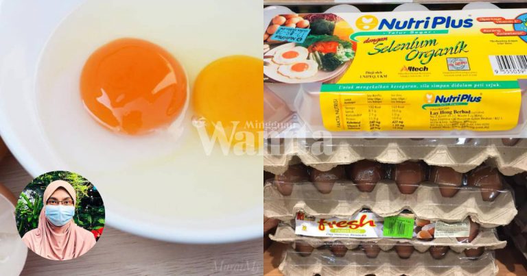 Anak Ekzema, Jangan Takut Beri Makan Telur, Pilihlah Telur Warna Oren Untuk Khasiatnya
