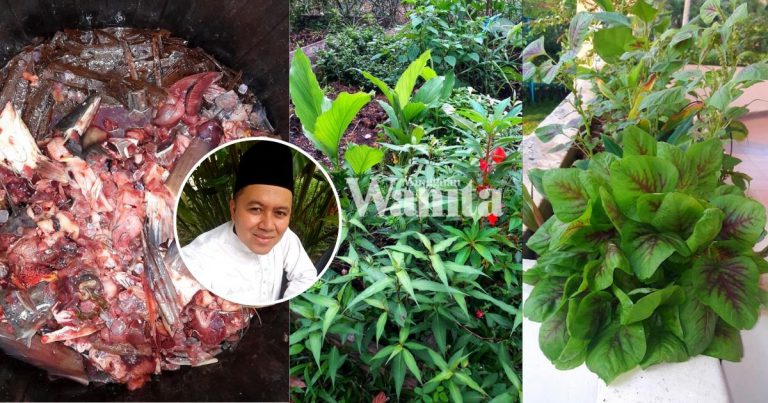 cara-buat-baja-ikan