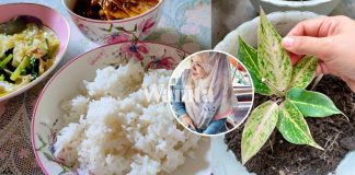 sibuk-kerja-dapur-terlupa-makan-nasi