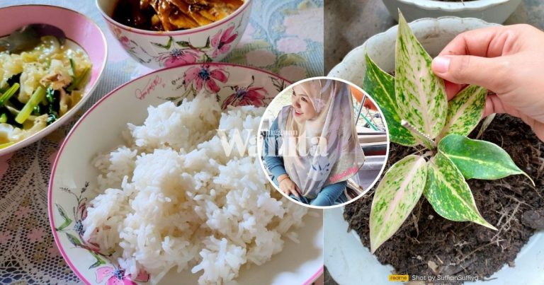 sibuk-kerja-dapur-terlupa-makan-nasi